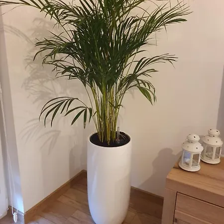 Apartment Number One Nova Wozownia *