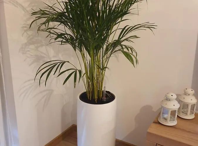 דירה Number One Nova Wozownia *